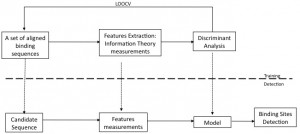 Sequence Information Gain based Motif Analysis