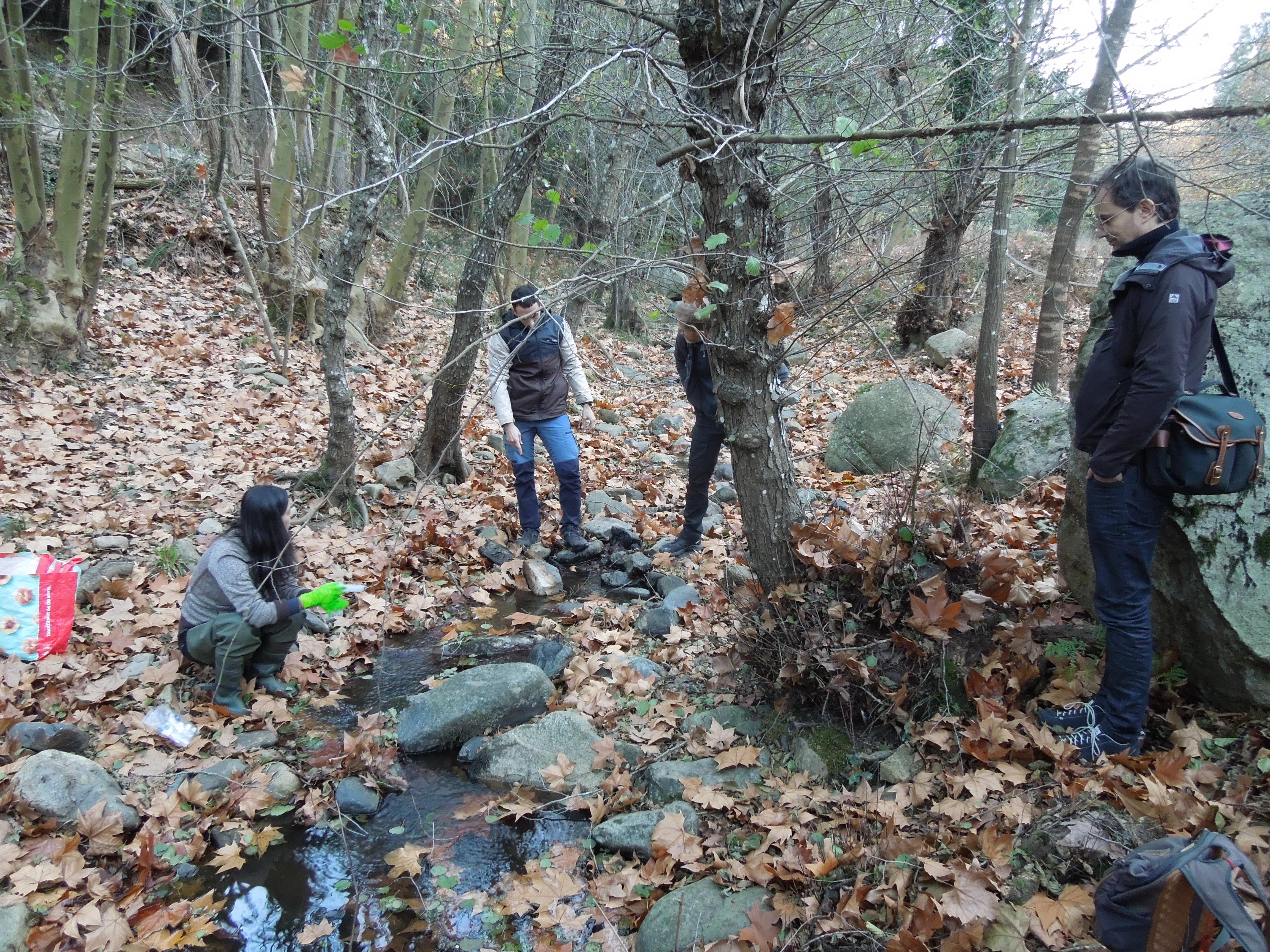 SERVICO2 kick-off meeting — consortium members in the field