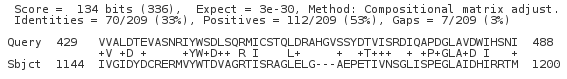 NCBI BLAST: alignment section excerpt.
