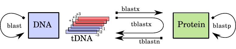 Scheme of the main BLAST search methods.