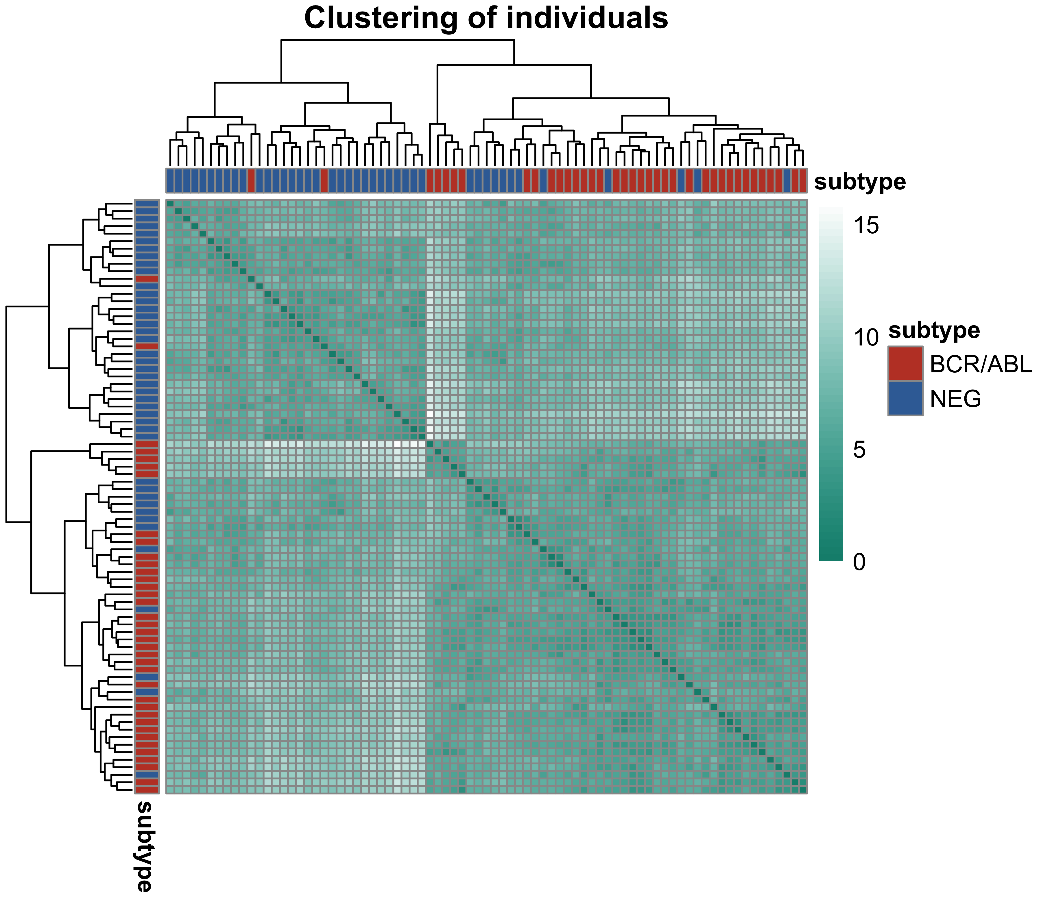 Heatmap of sample-to-sample distances with dendrograms, showing BCR/ABL and NEG samples grouping largely apart.