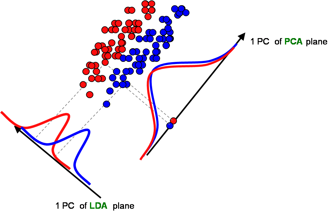 LDA vs PCA