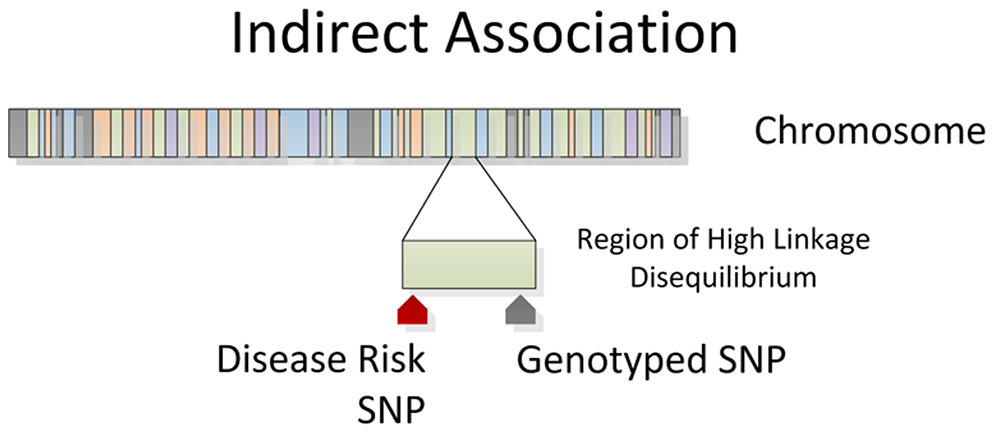 Published schematic showing indirect association through linkage disequilibrium