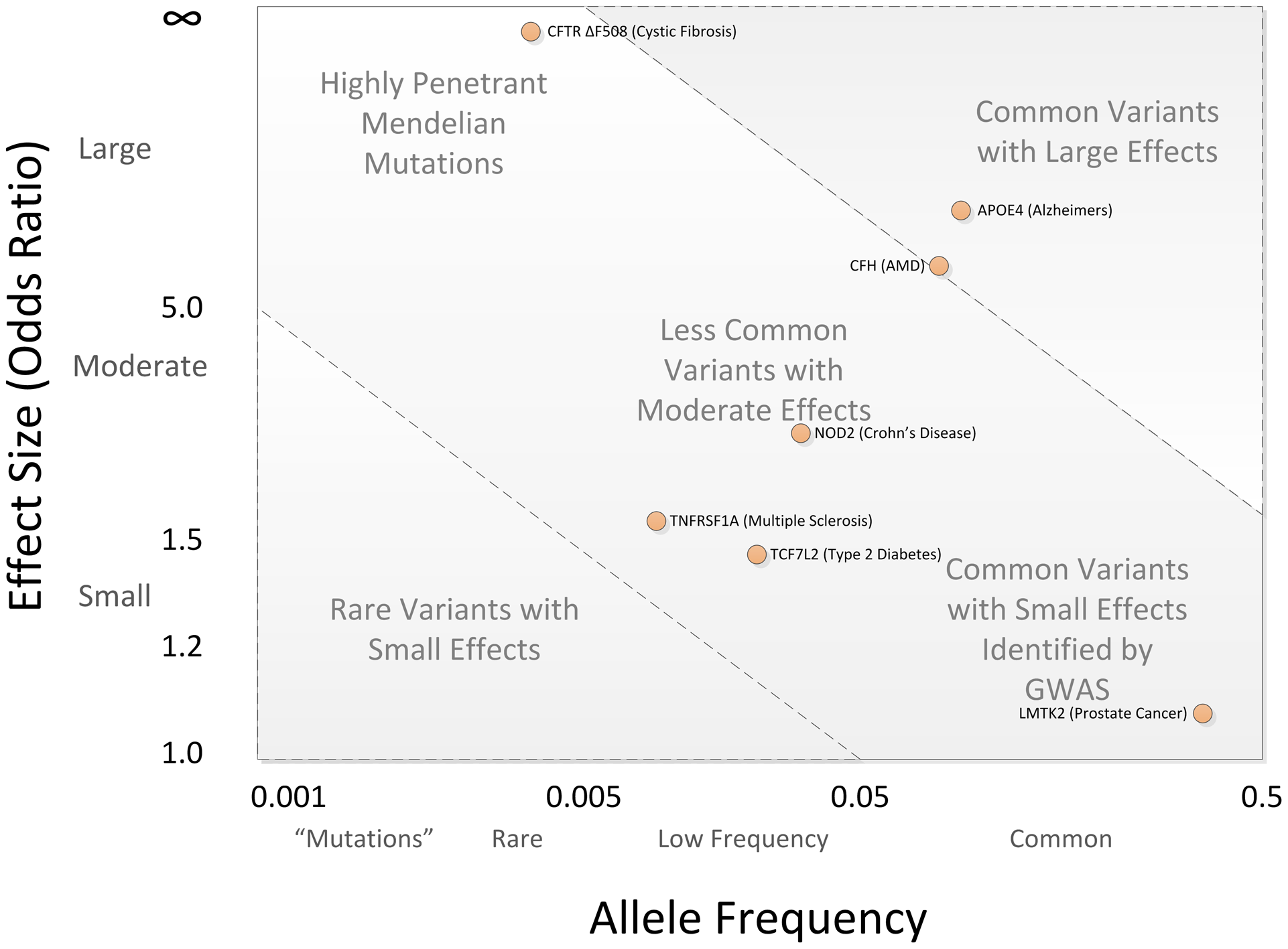 Published conceptual map of allele frequency against genetic effect size