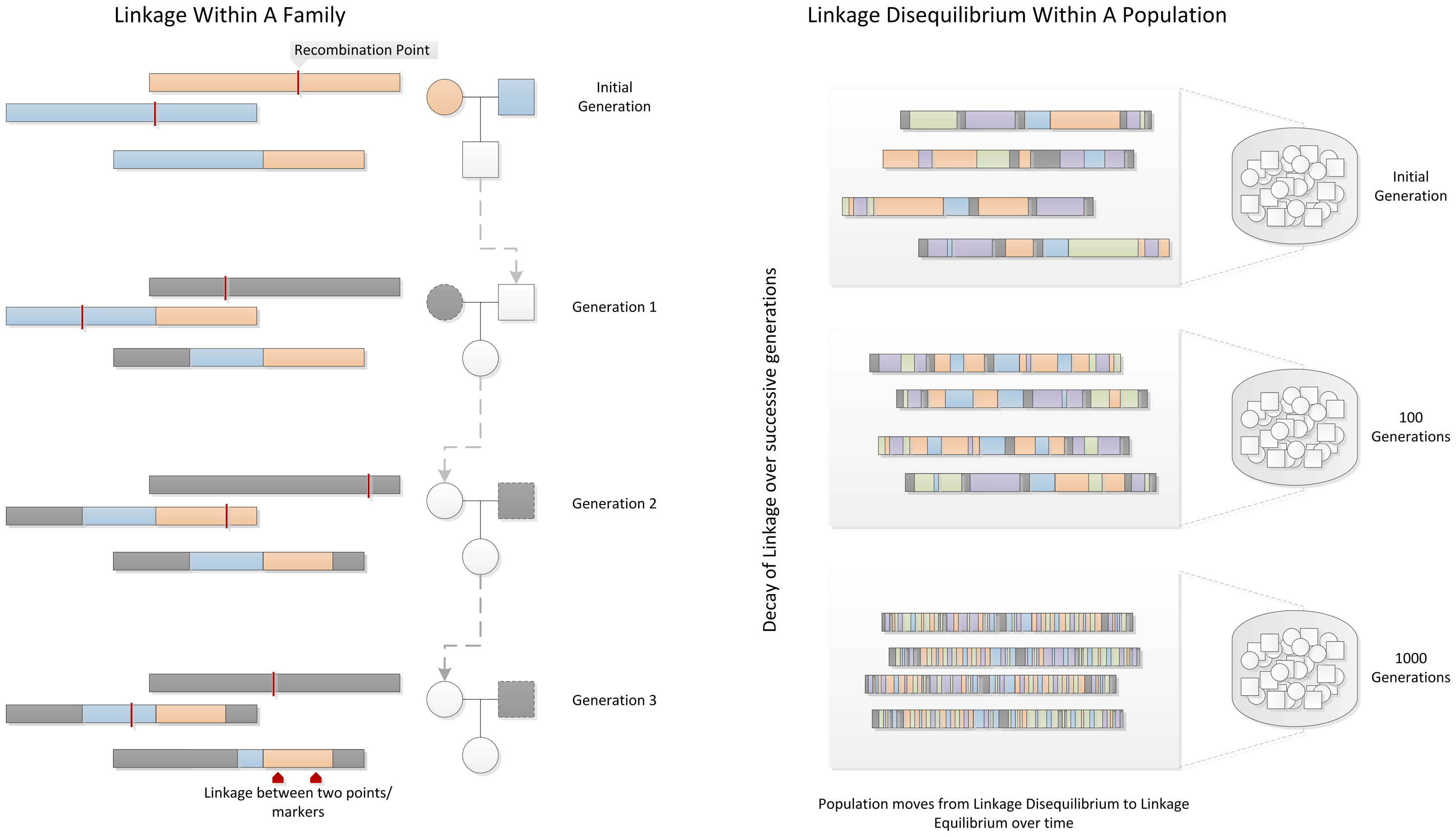 Published comparison of linkage within families and linkage disequilibrium in populations