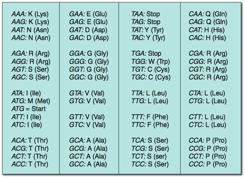 The Central Dogma