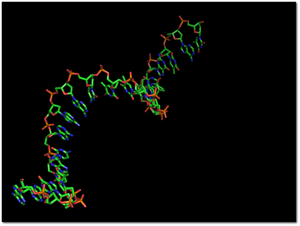 DNA