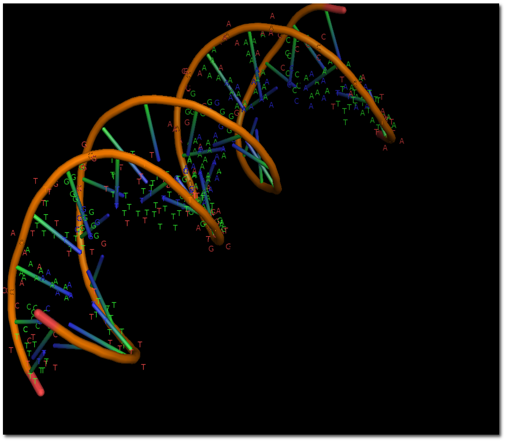 DNA