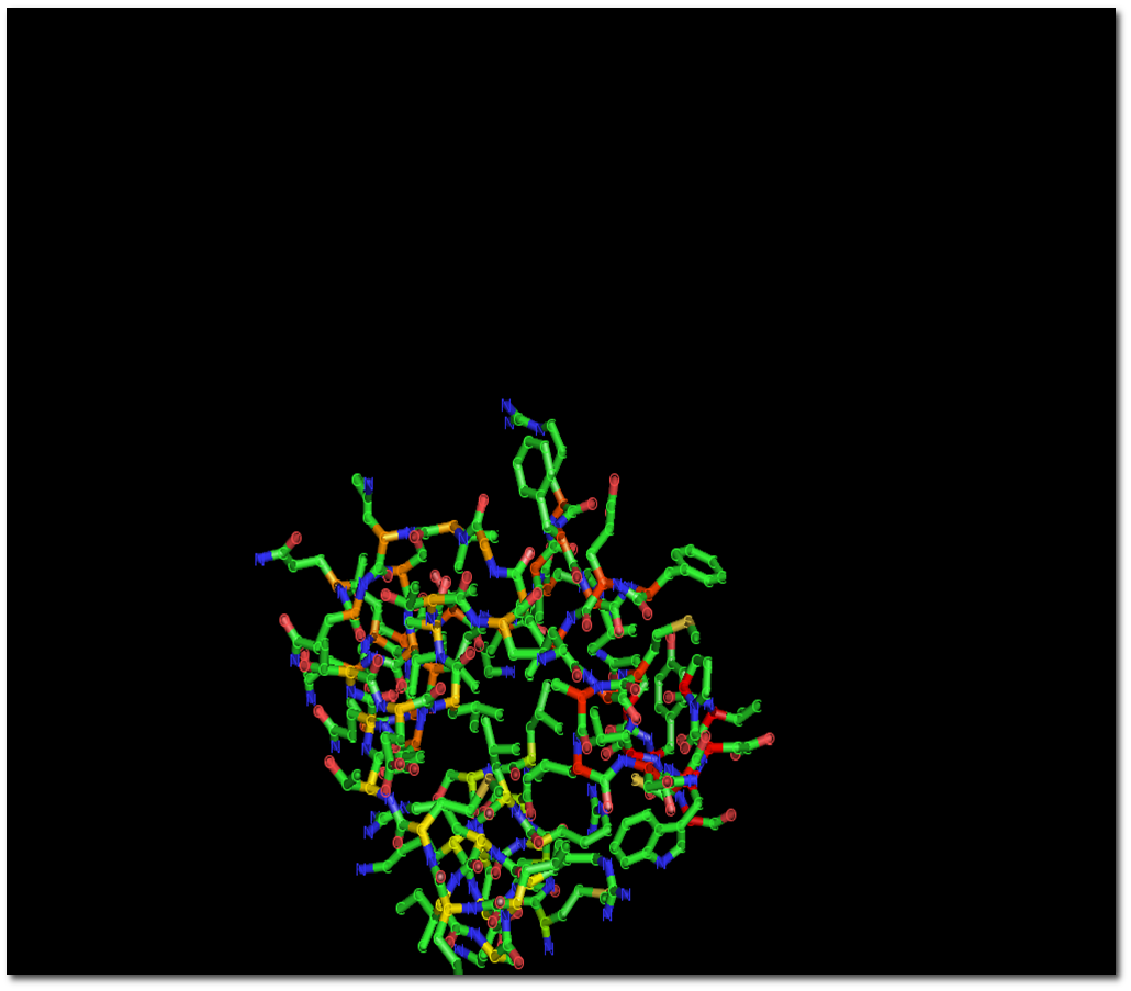 DNA