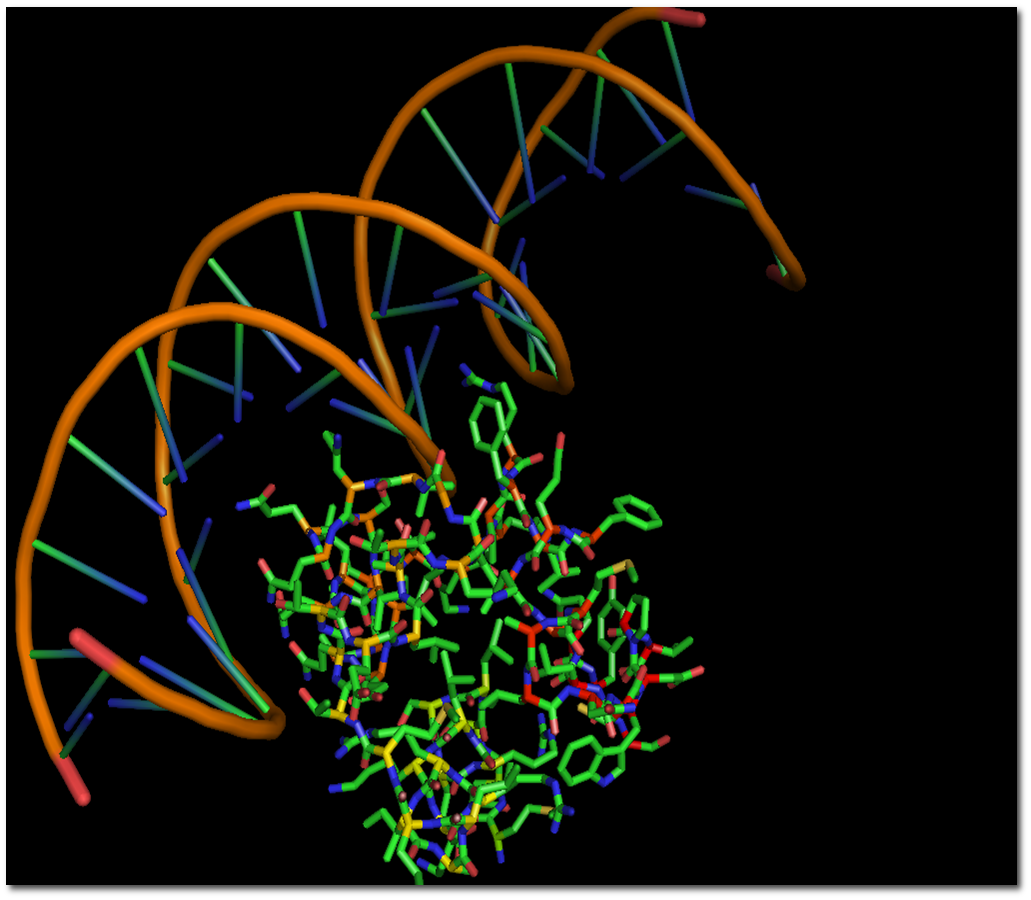 DNA
