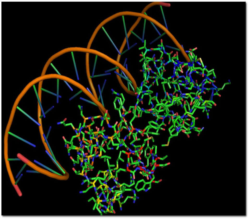 DNA