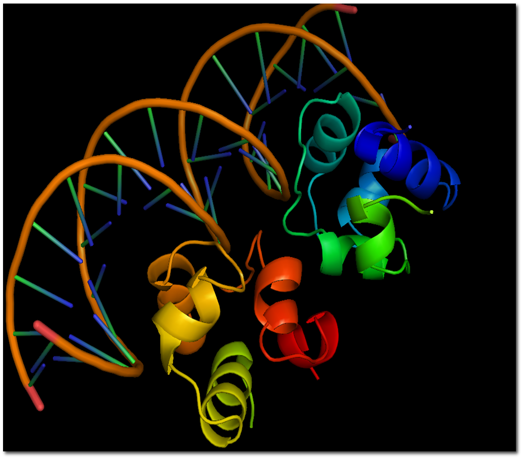DNA