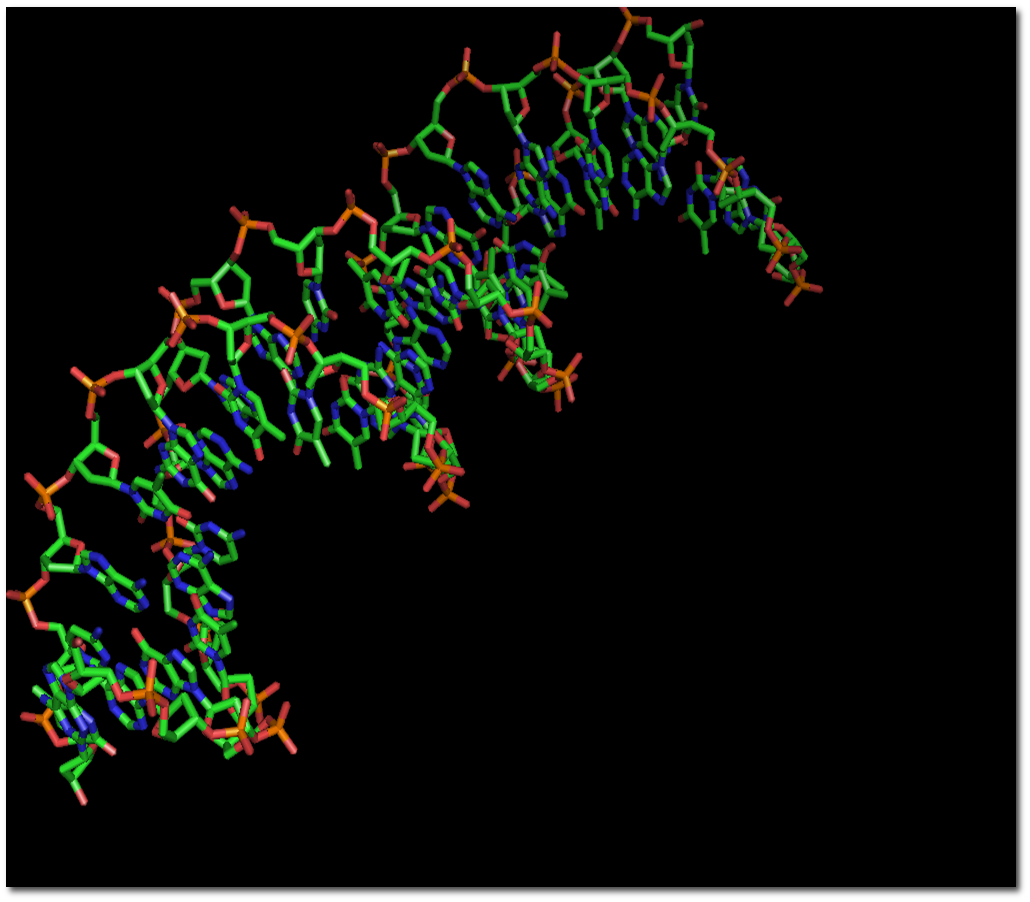 DNA