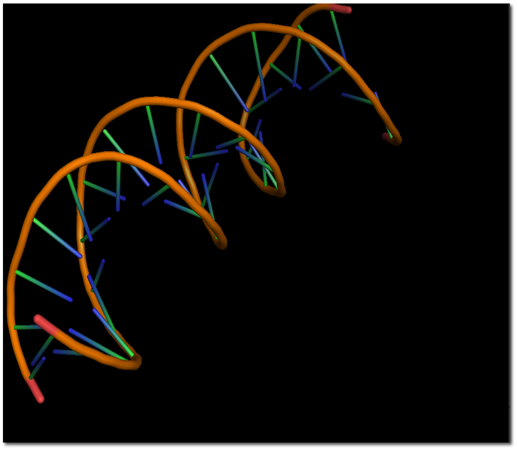 DNA