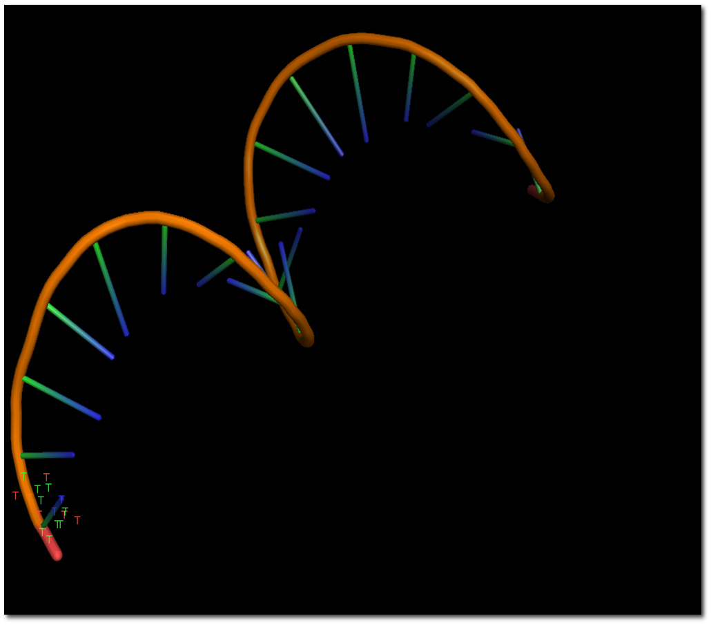 DNA