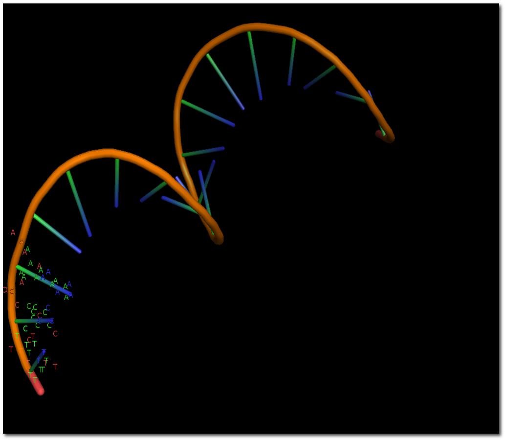 DNA