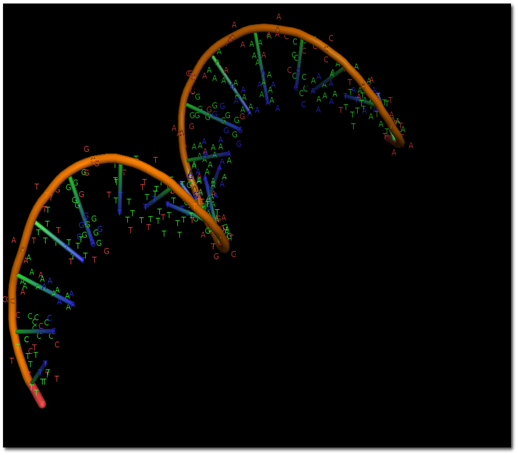 DNA
