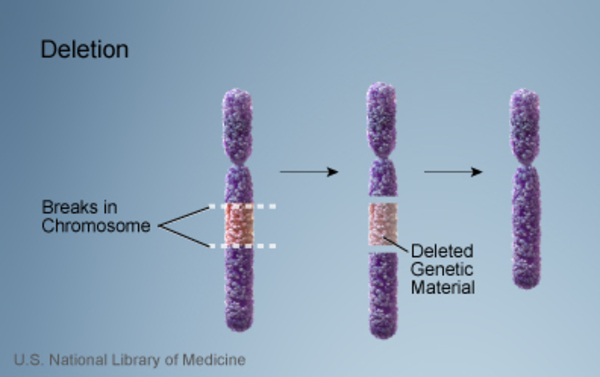 NLM chromosome schematic shows loss of a segment between two breaks.