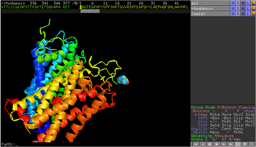 DNA