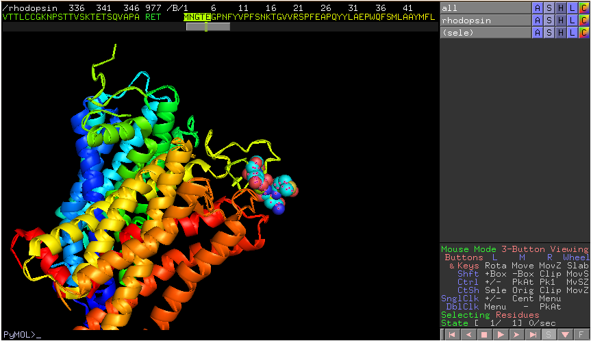 DNA