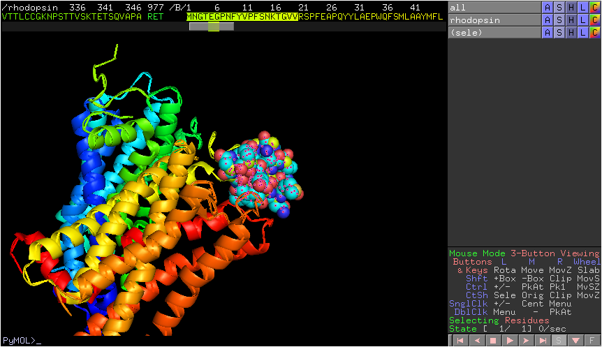DNA