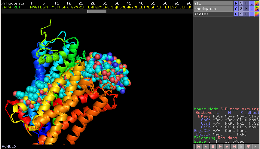 DNA