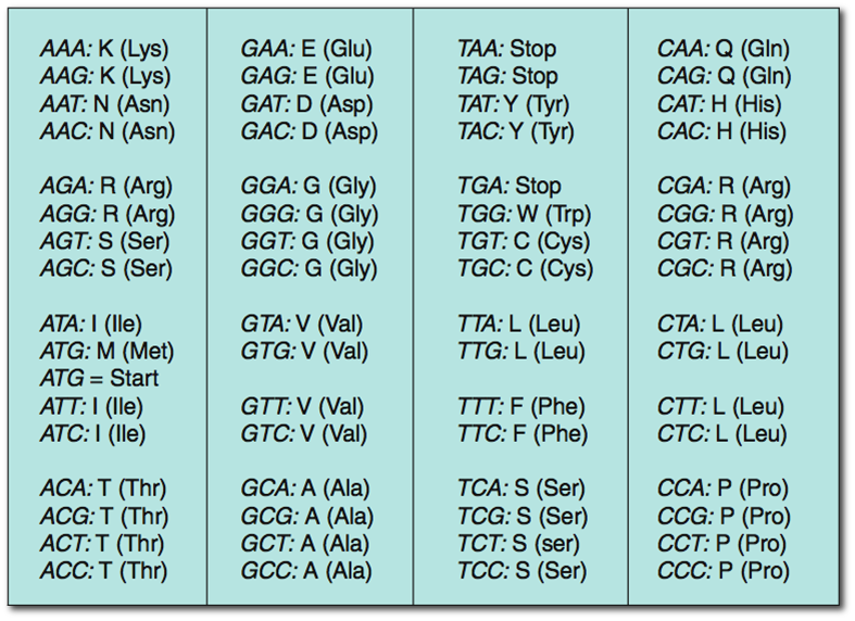 Sequence Alignment: some notes