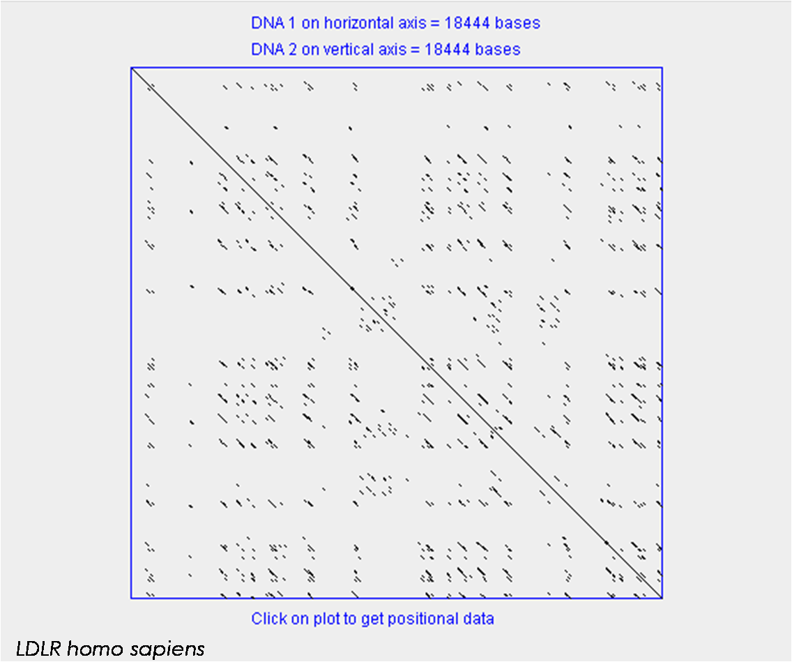 Self dot plot of the human LDL-receptor gene (18,444 bases): main diagonal plus many families of short off-diagonal repeats