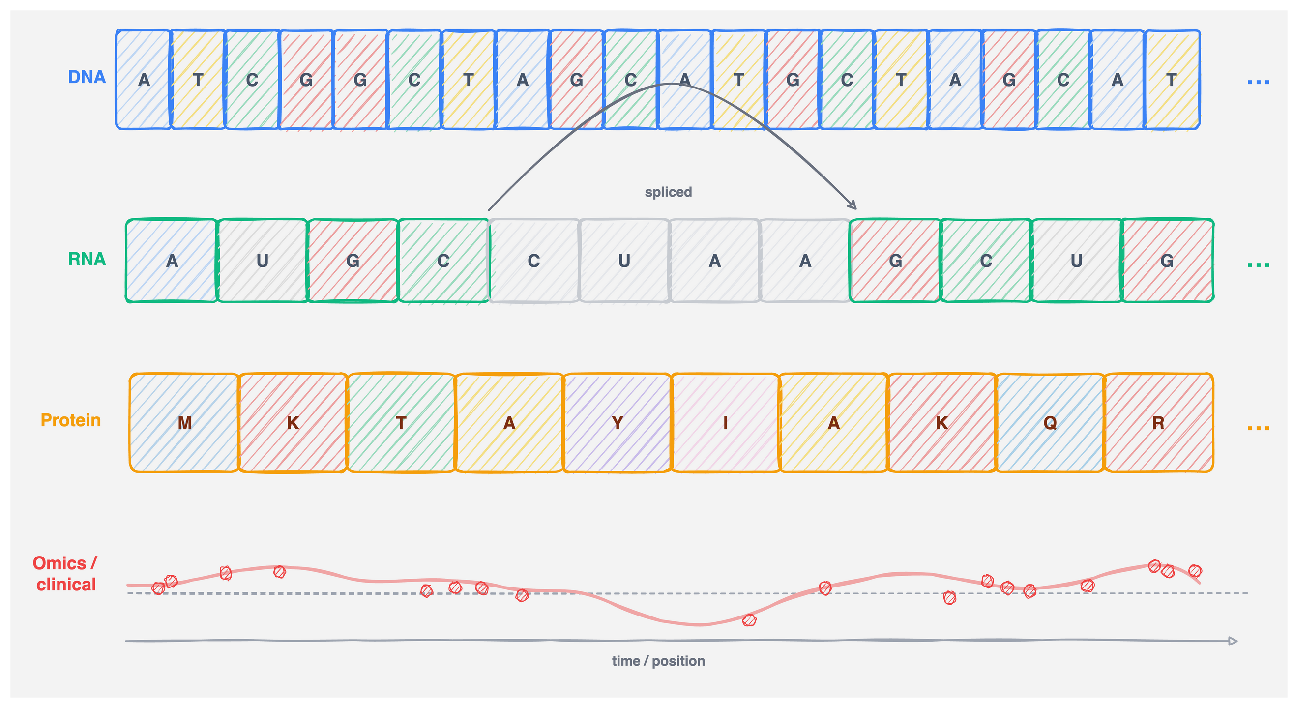 Four sequential data modalities: DNA, RNA, Protein, Omics/clinical time series